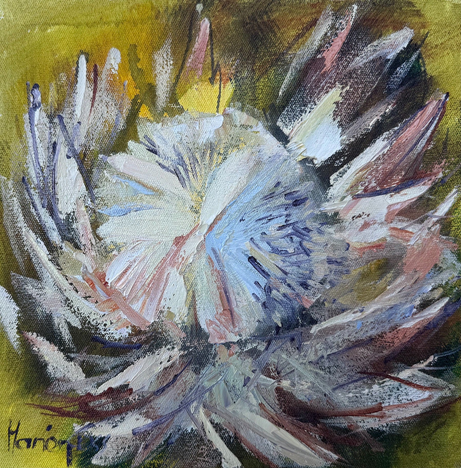 Urban Protea 181 - ORIGINAL PIANTING